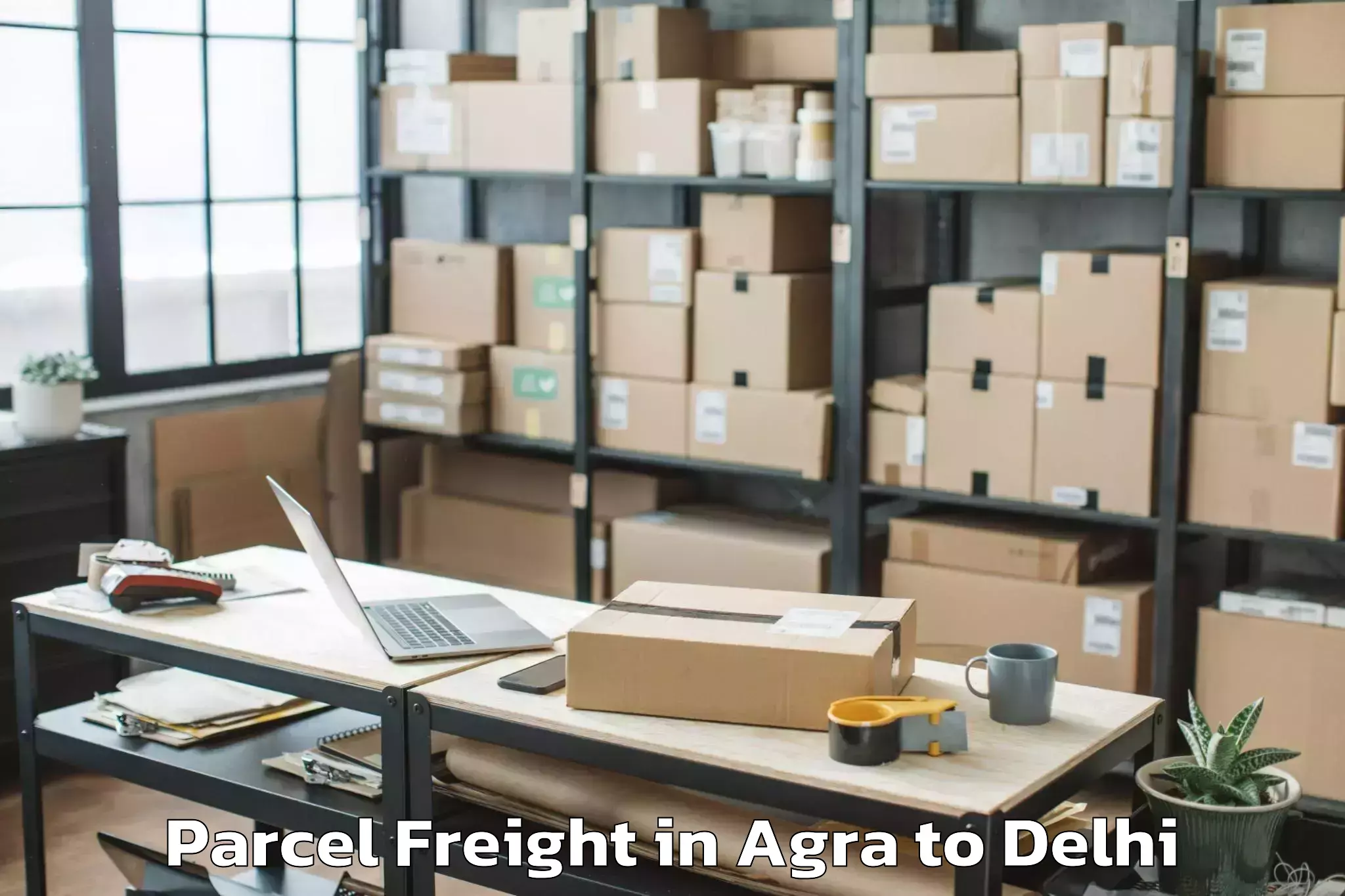 Professional Agra to Ambience Mall Vasant Kunj Parcel Freight